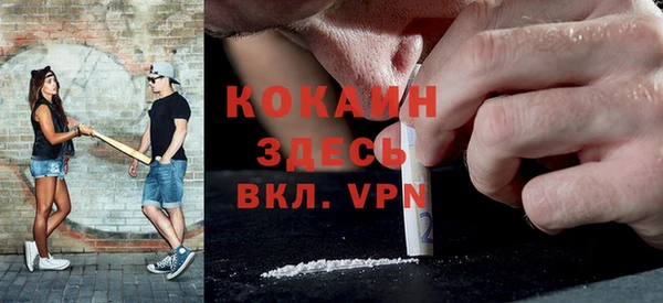 дживик Липки