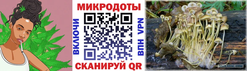 Псилоцибиновые грибы Psilocybine cubensis  купить наркотик  ОМГ ОМГ онион  Южно-Сахалинск 