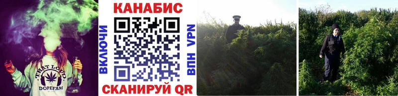 Шишки марихуана SATIVA & INDICA Южно-Сахалинск